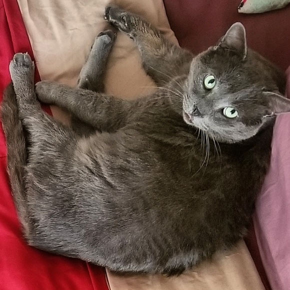 Meet your Posher, Sue - Picture 8 of 8